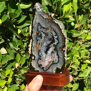 Colorful and Highly Detailed Agate Geode