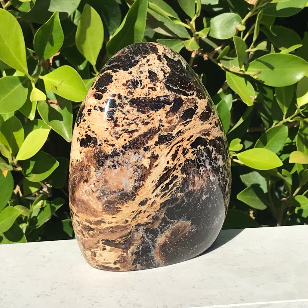 Black Opal Freeform
