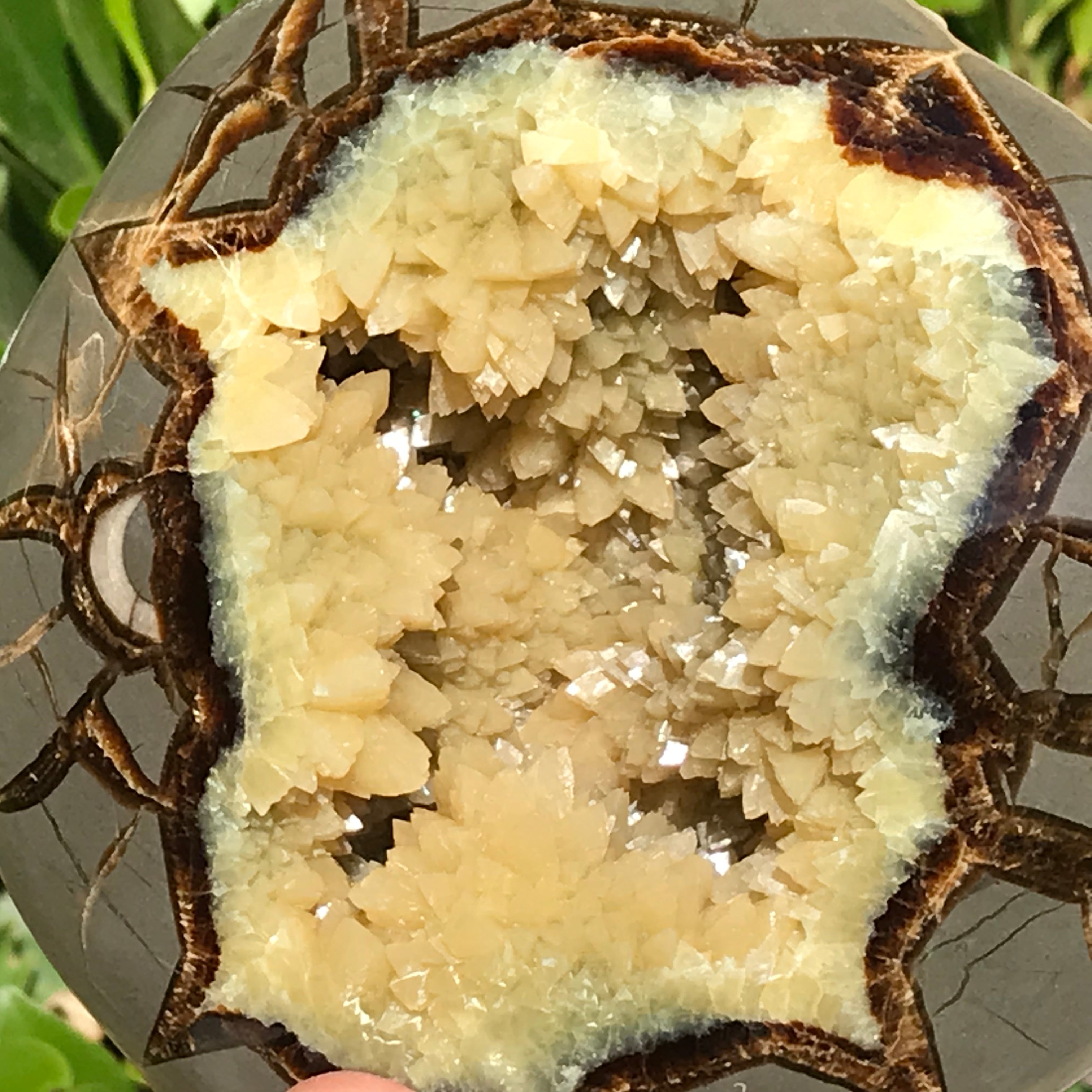 Crystal Filled Septarian Geode