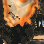 Orange Eyed Brazilian Agate Slice