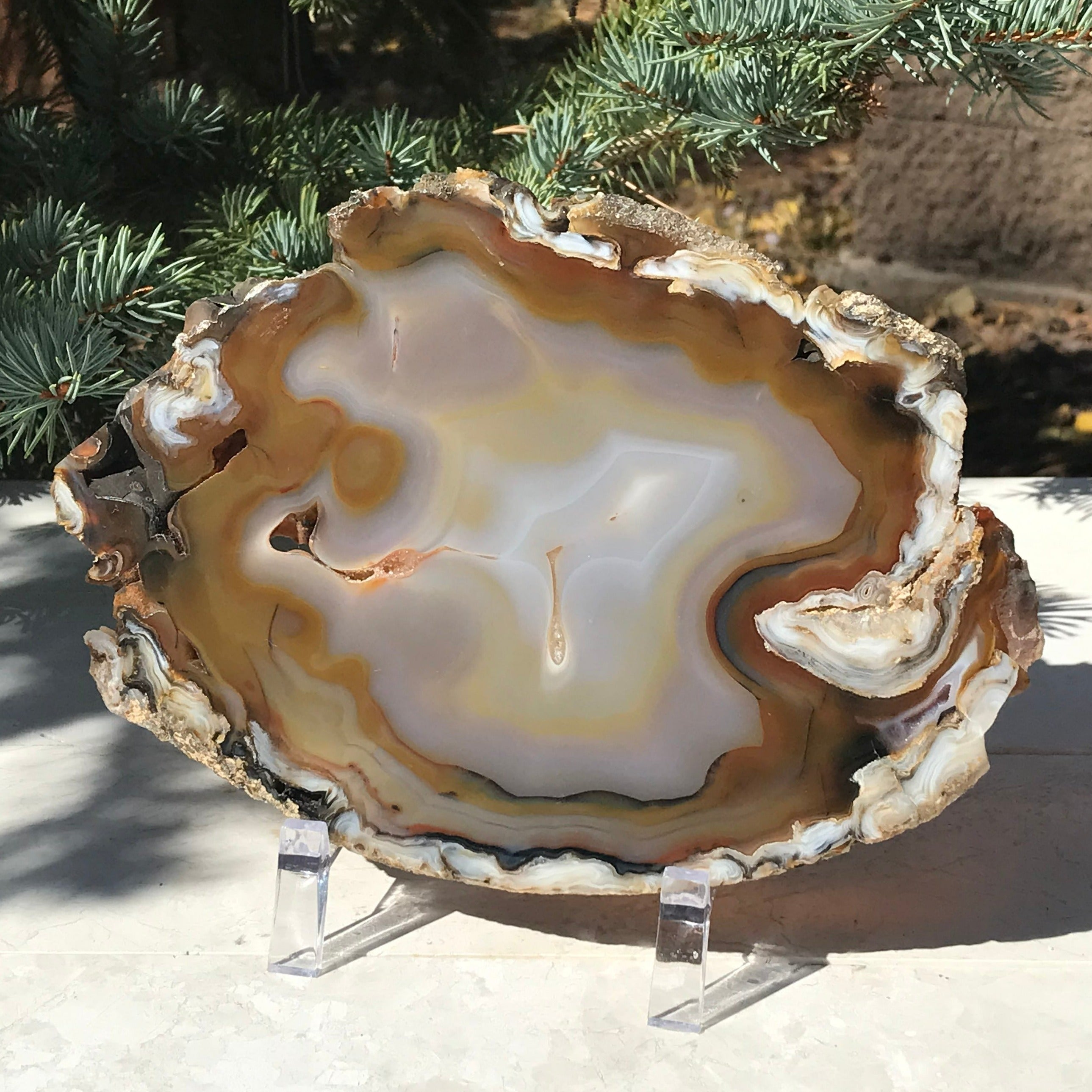 Abstract Agate Slice