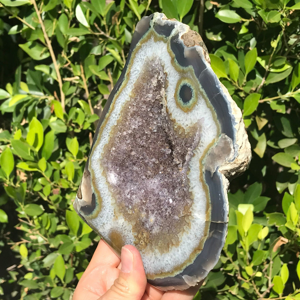 Olive Green Banded Amethyst Geode