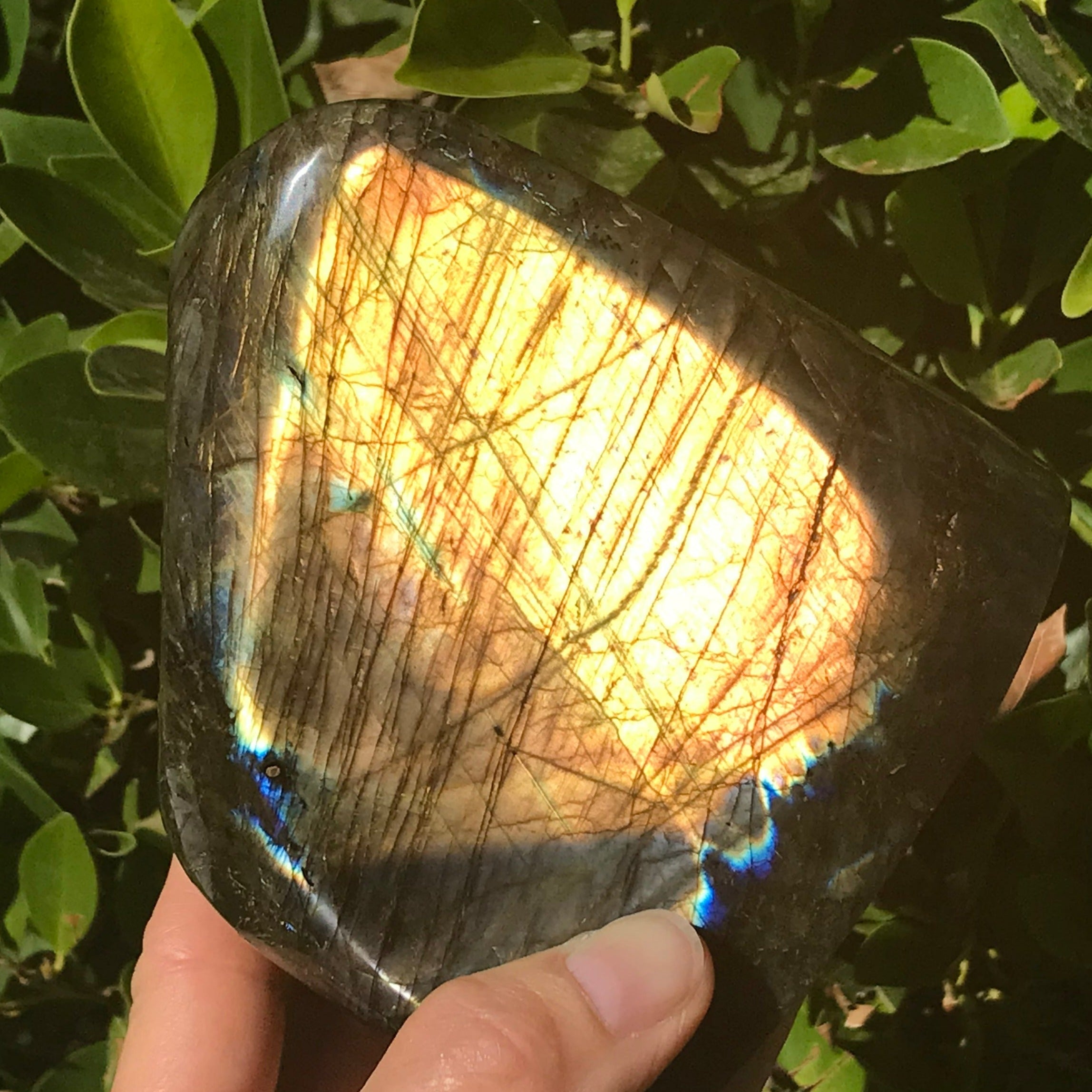 Sunshine Labradorite