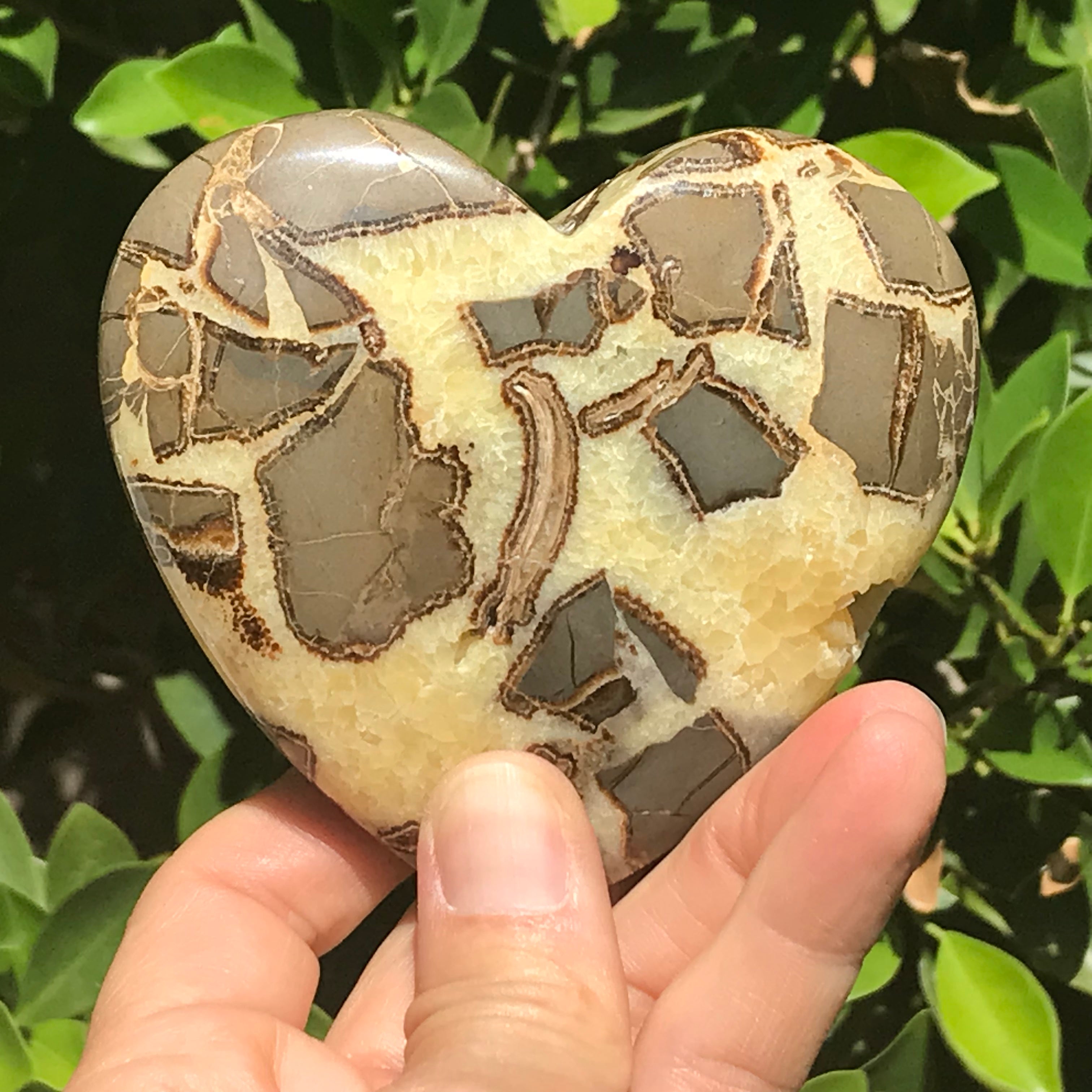 Double Sided Septarian Heart