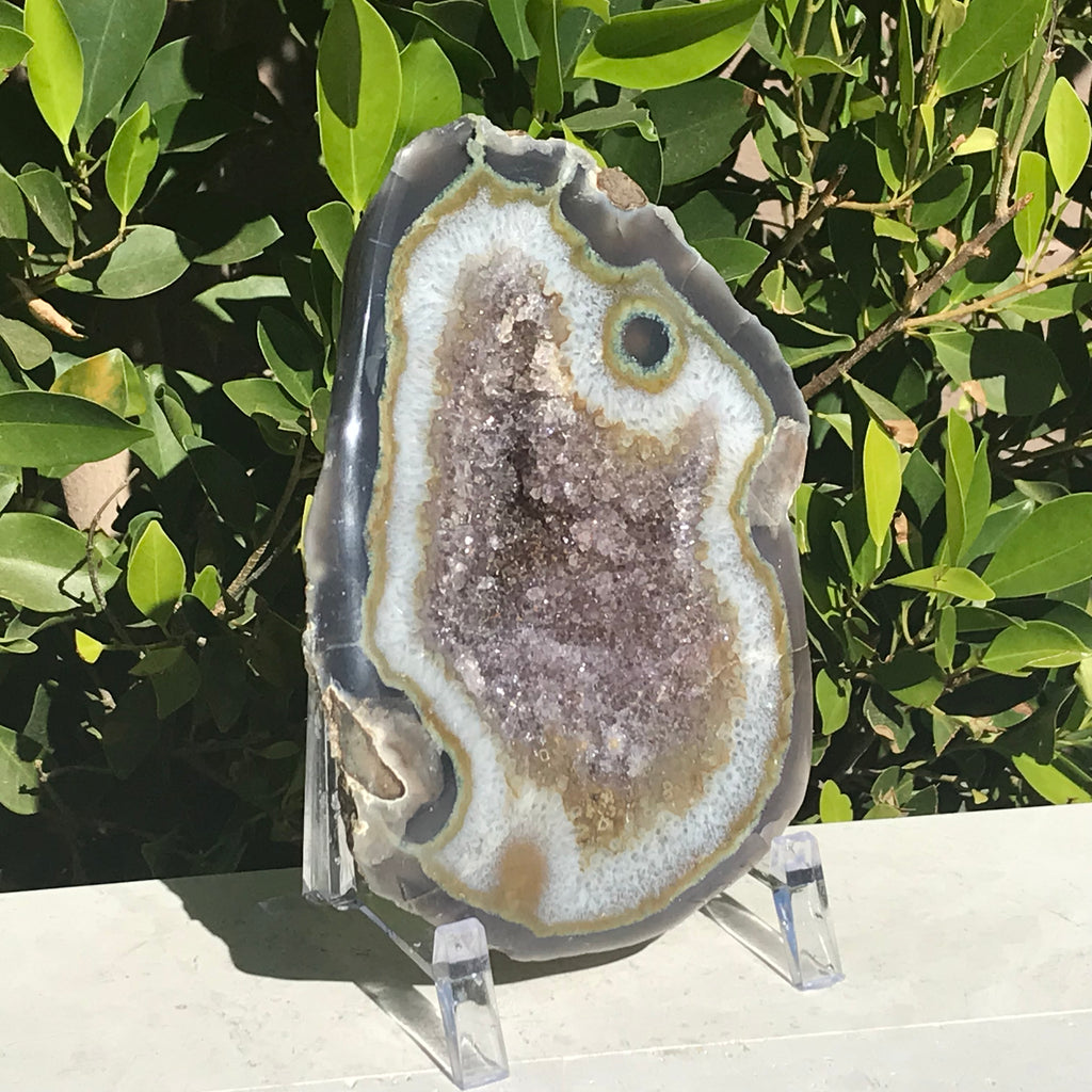 Olive Green Banded Amethyst Geode