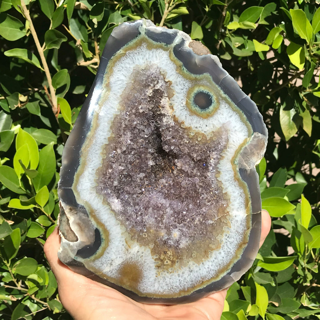 Olive Green Banded Amethyst Geode