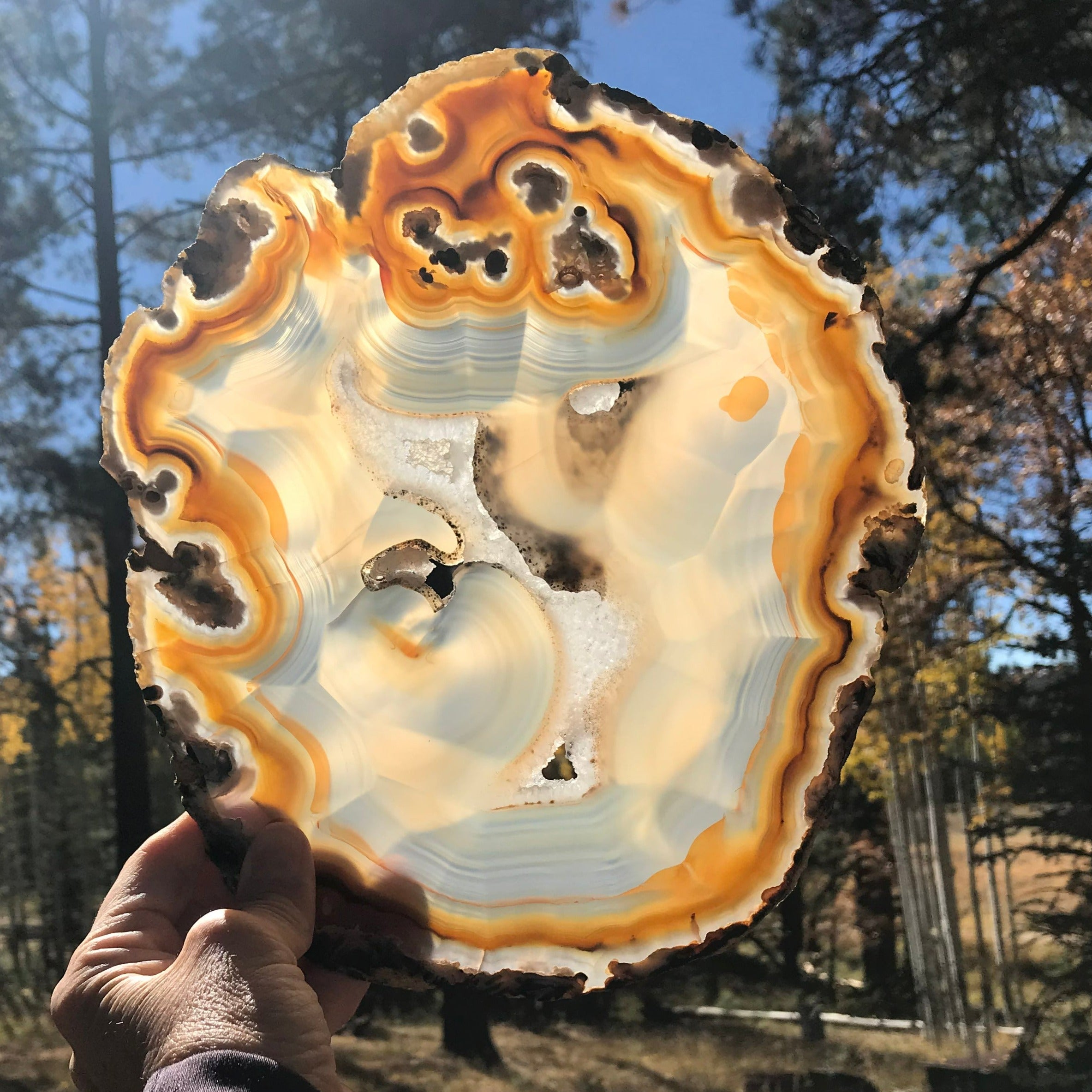 Radiant Brazilian Agate Slice