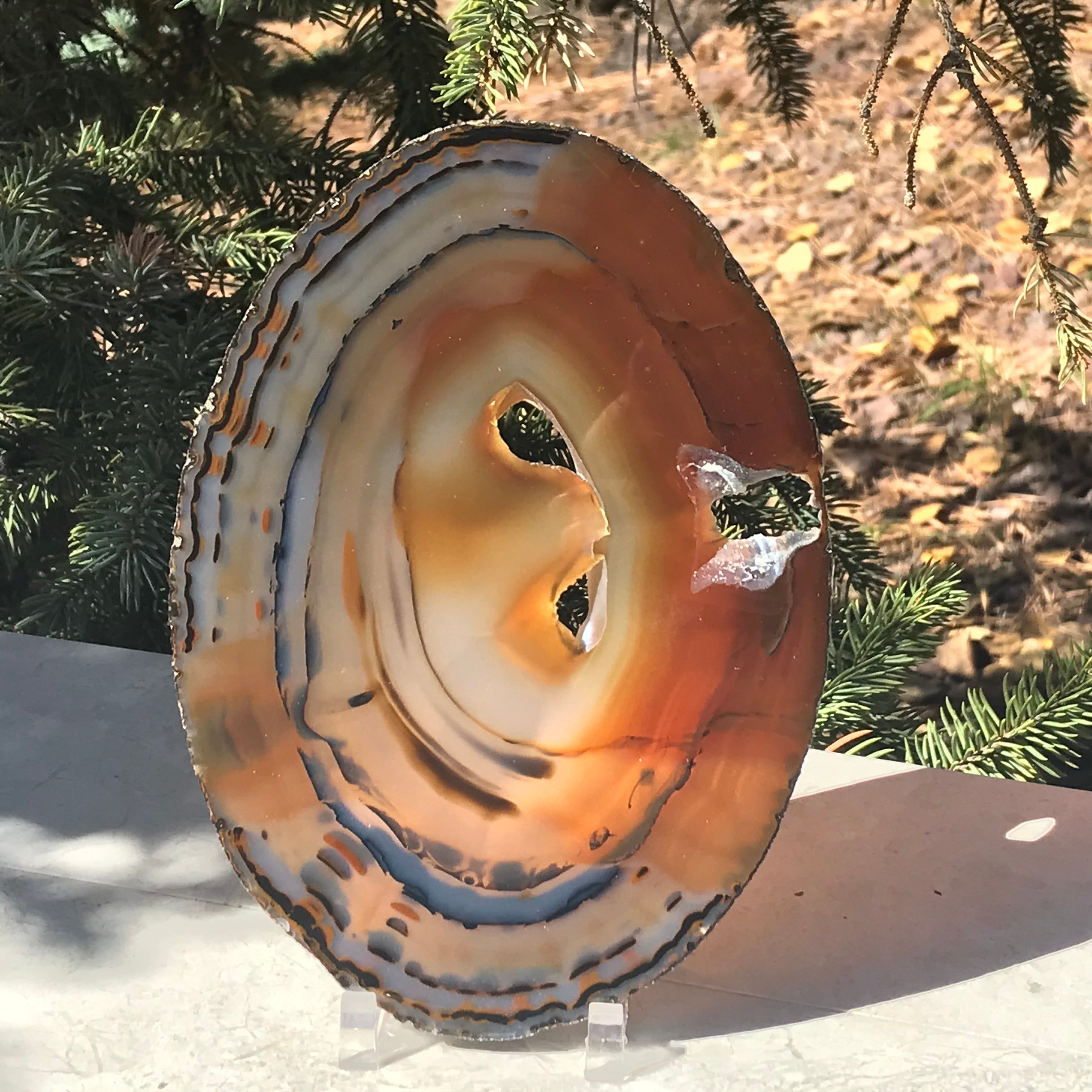 Brightly Translucent Agate Slice