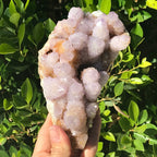 Quartz Crystal Topped Cactus Quartz Slab