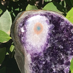 Single Eyed Uruguayan Amethyst Cluster