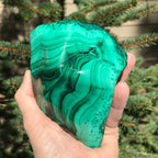 Polished Malachite with Chrysocolla