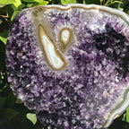 Stately Uruguayan Amethyst with Agate Eyes Freeform