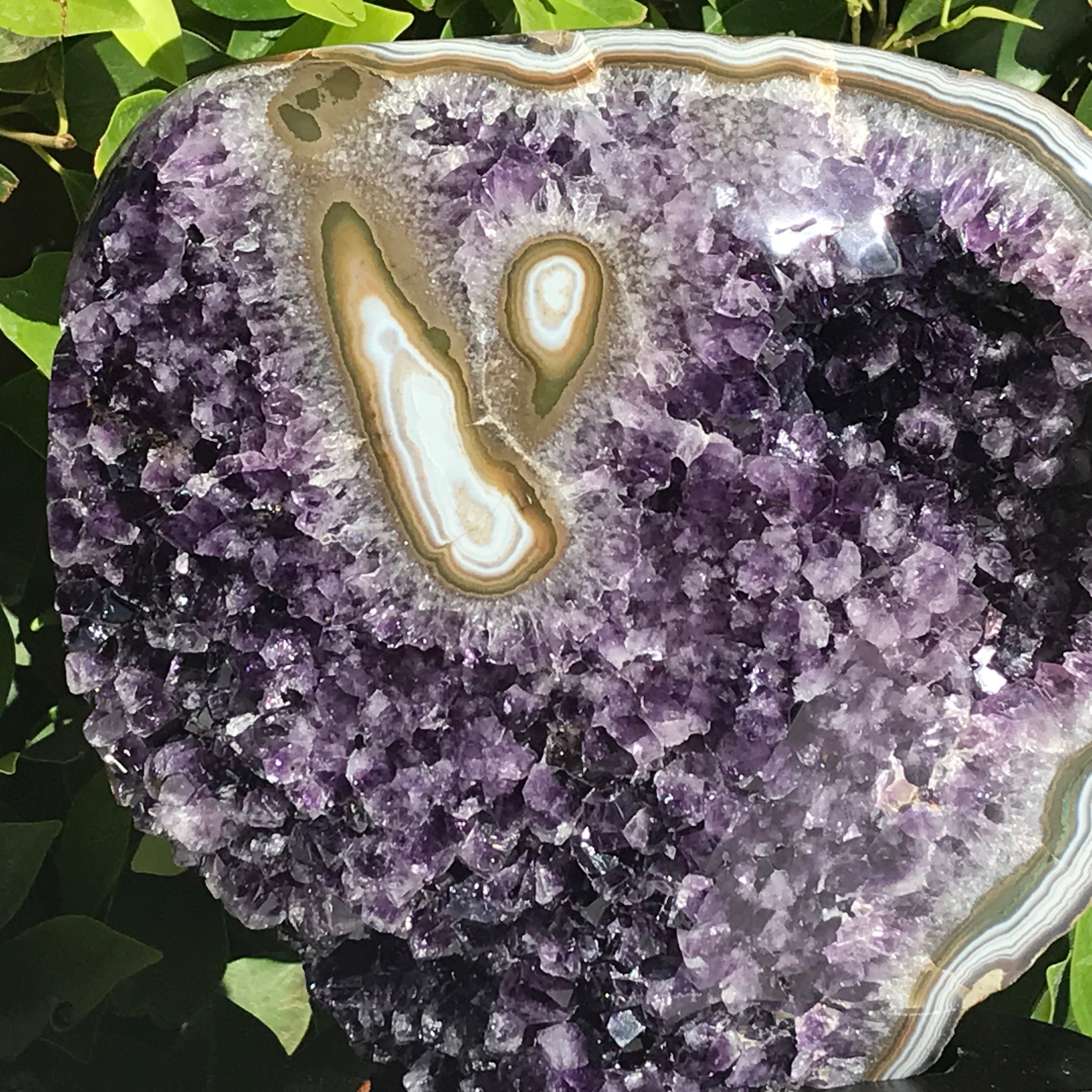 Stately Uruguayan Amethyst with Agate Eyes Freeform