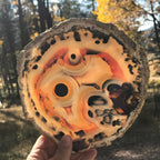 Stunningly Beautiful Agate Slice