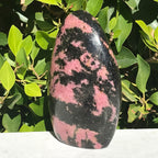 Ornate Rhodonite Nodule
