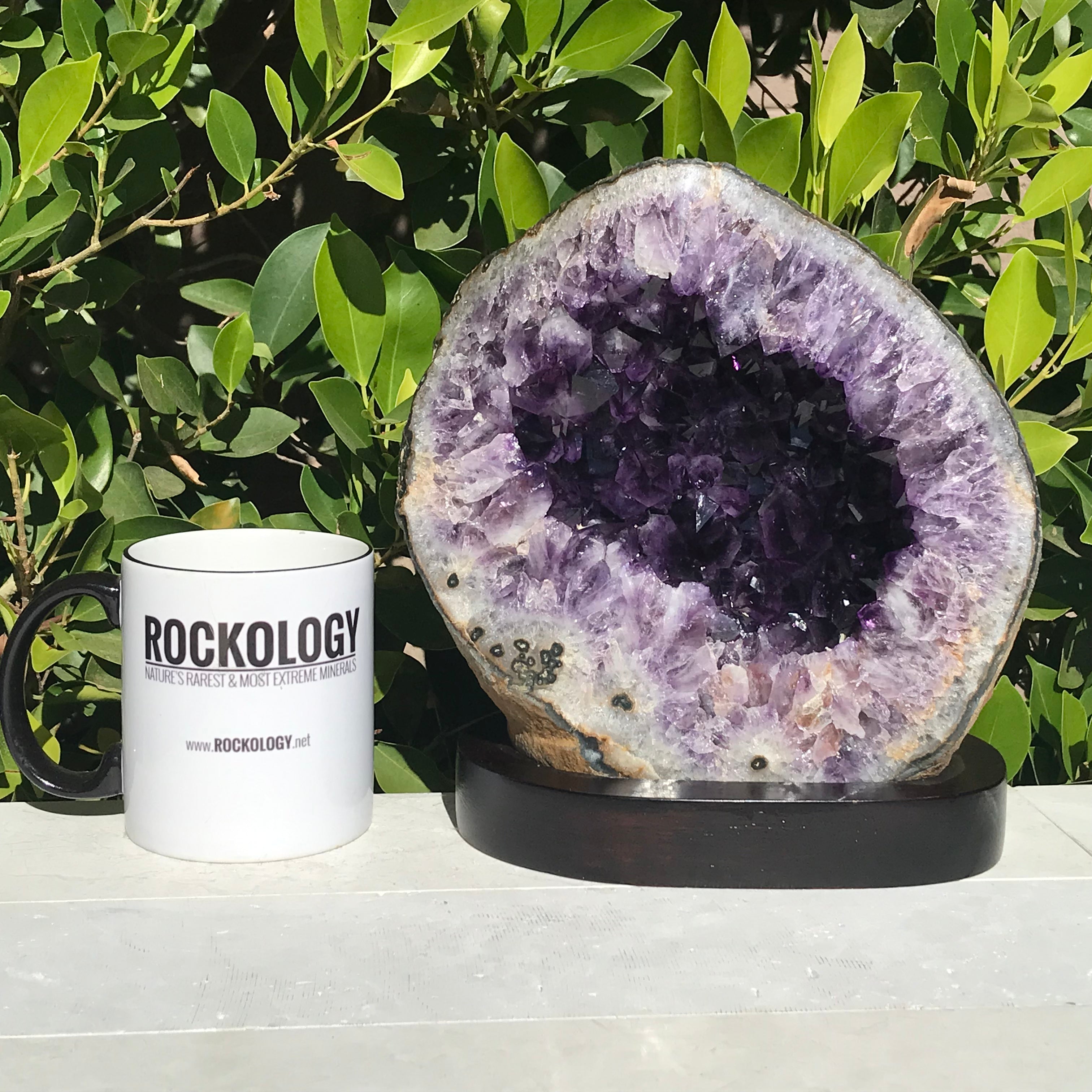 Agate Eye RimmedvAmethyst Geode