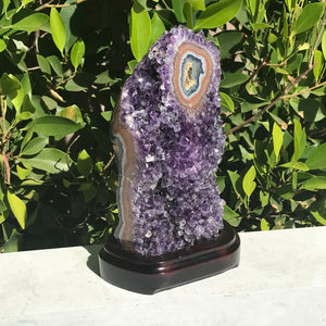 Single Eyed Amethyst Freeform