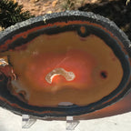 Dramatic Agate Slice
