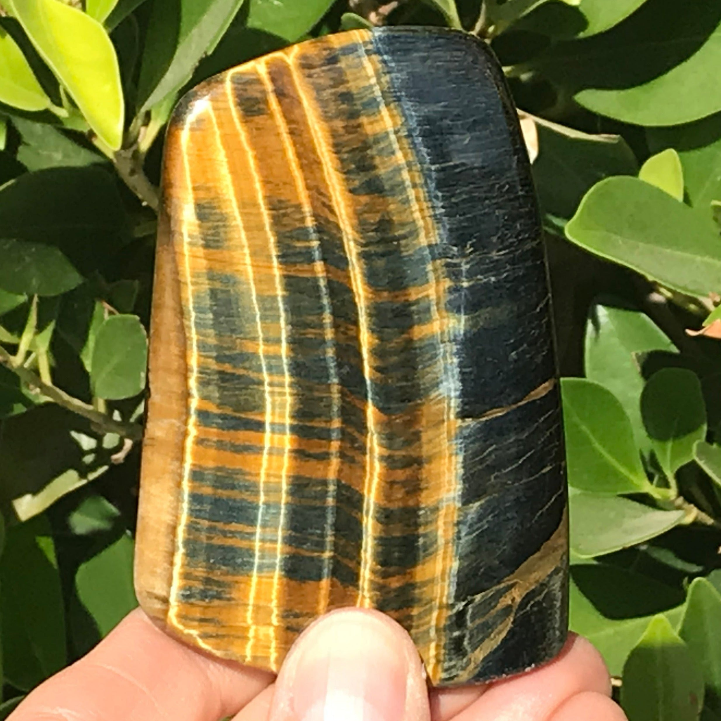 Tiger Eye Jasper Slab
