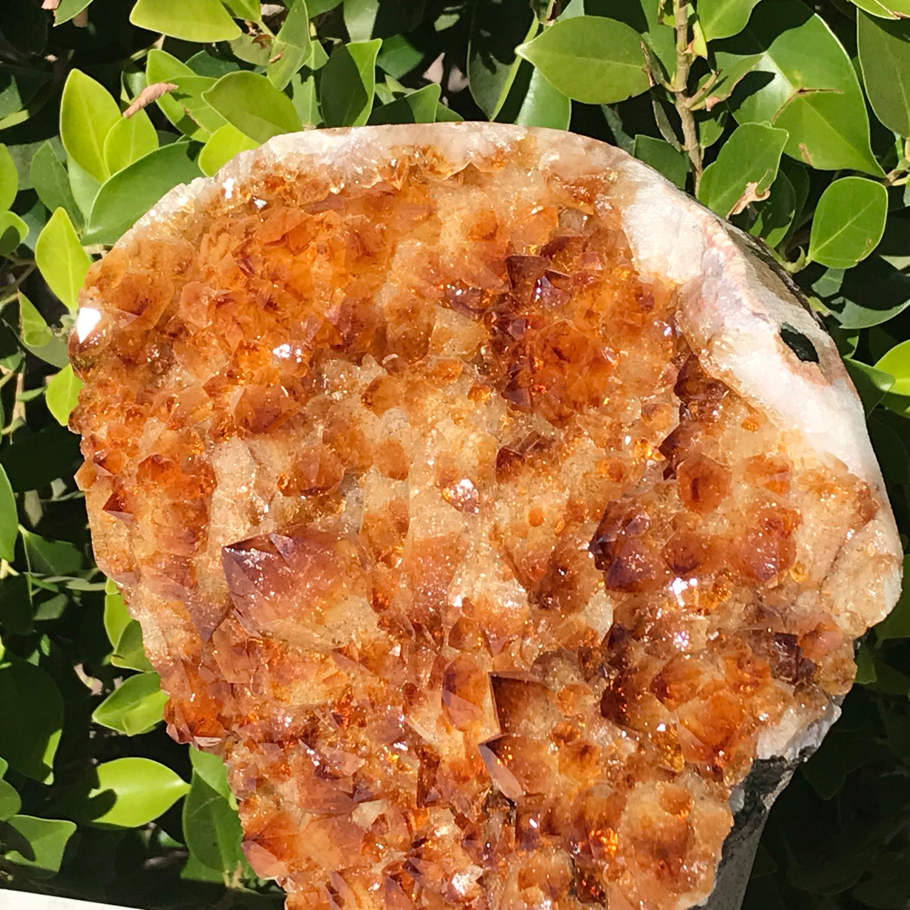 Impressive Citrine Freeform