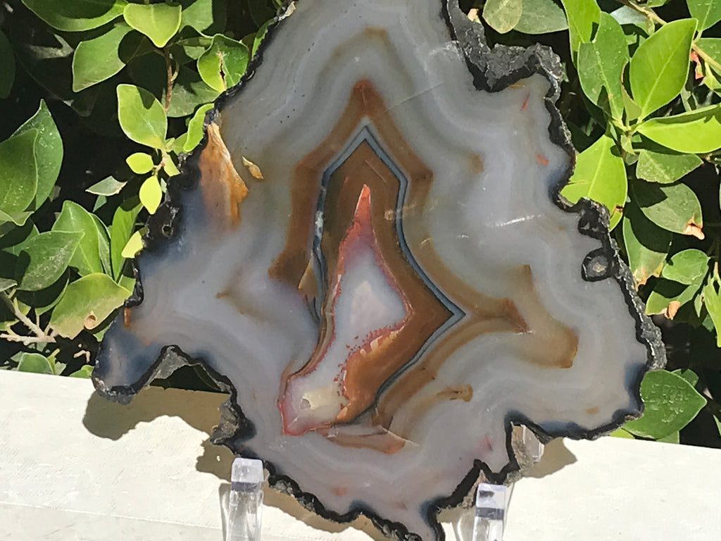 Myriad of Banding Agate Slice