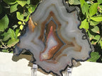Myriad of Banding Agate Slice