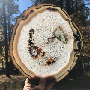 Multicolored Quartz Surrounded Agate Slice