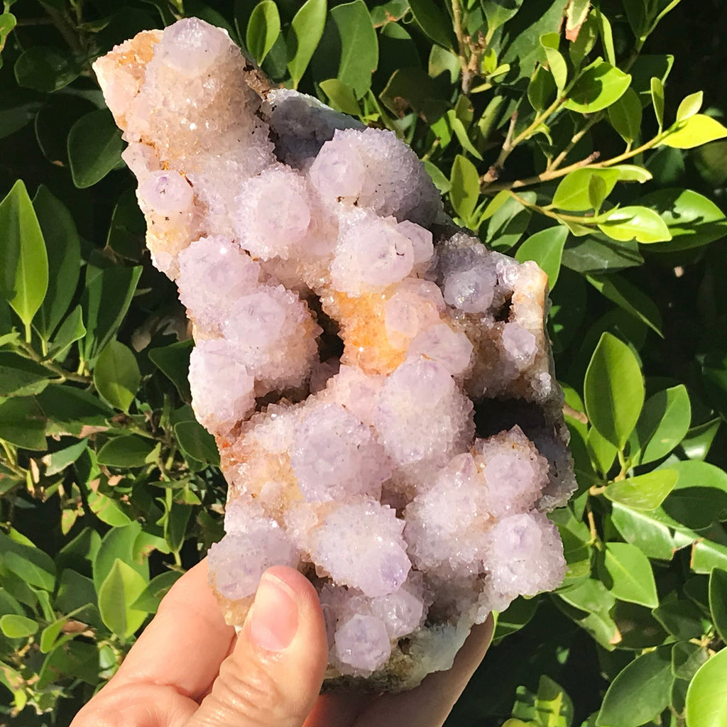 Quartz Crystal Topped Cactus Quartz Slab