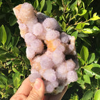 Quartz Crystal Topped Cactus Quartz Slab