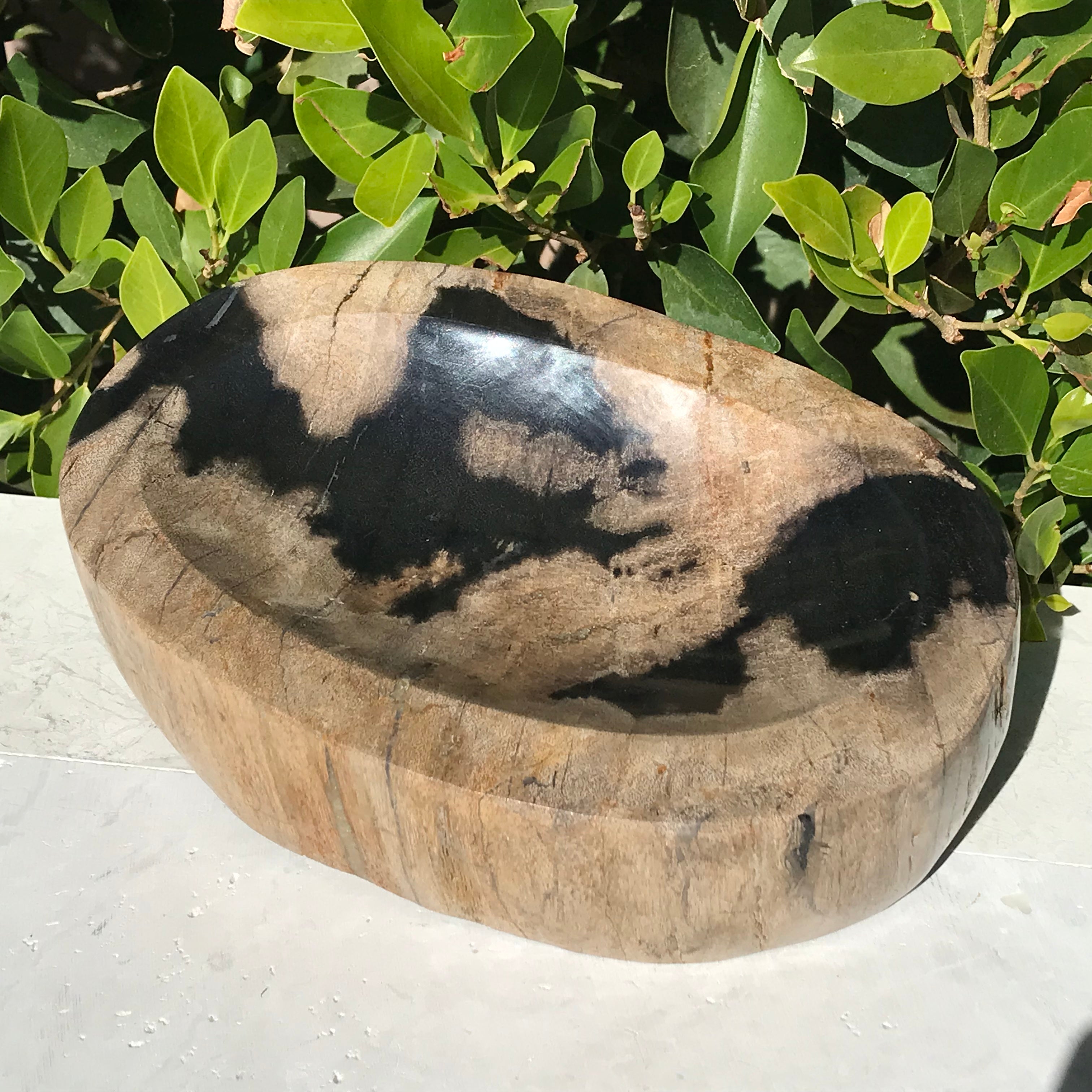Polished Petrified Wood Bowl