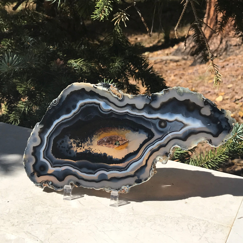 Striated Black Agate Slice