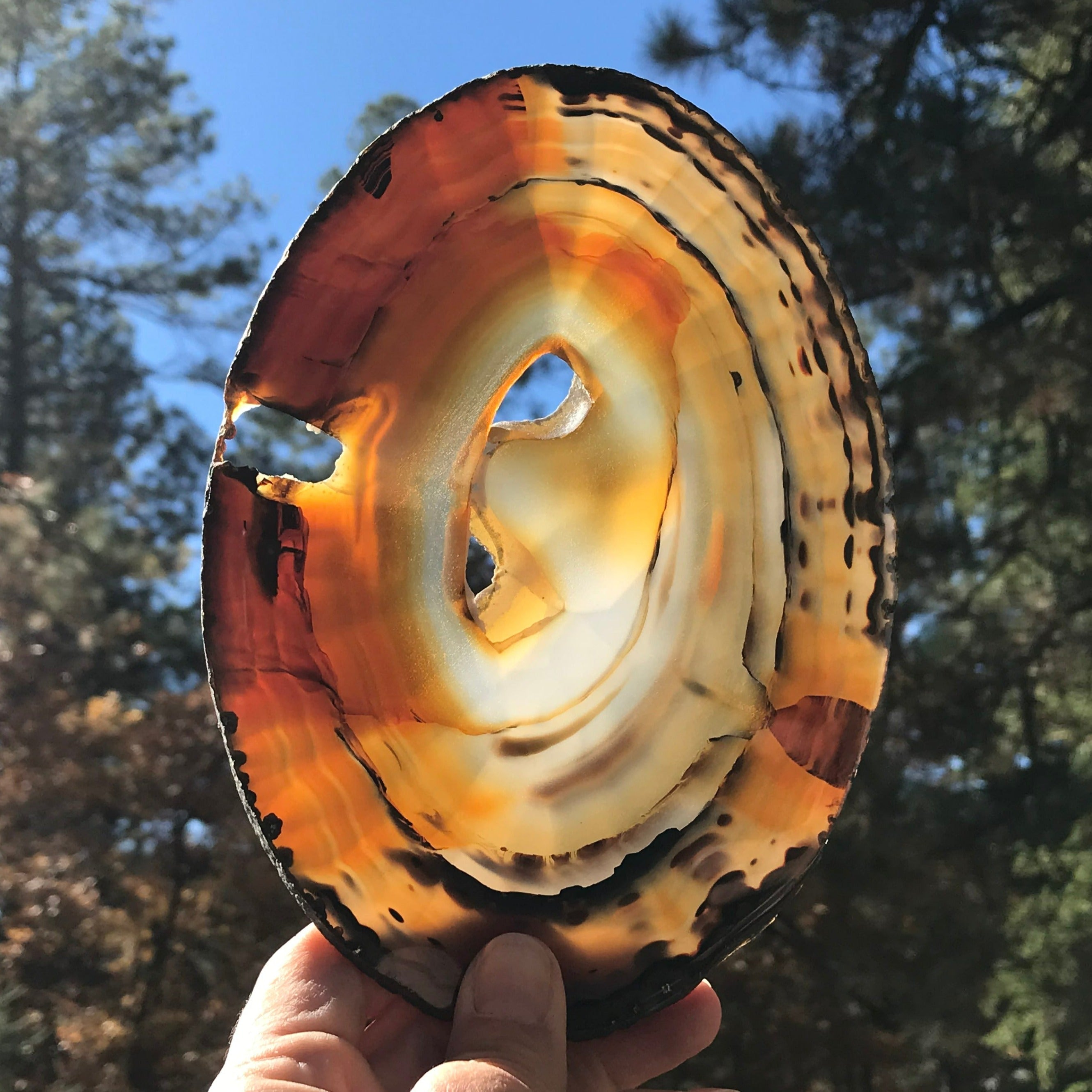 Brightly Translucent Agate Slice