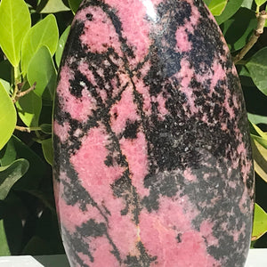 Polished Rhodonite Nodule