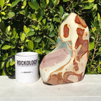 Massive Polychrome Jasper
