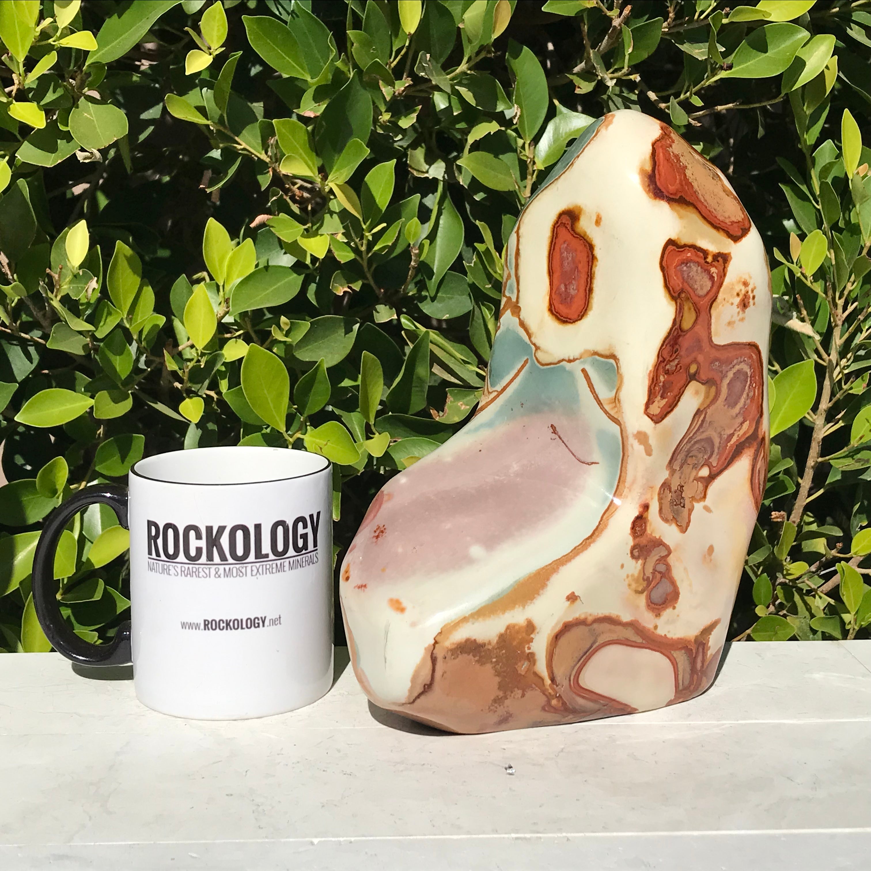 Massive Polychrome Jasper