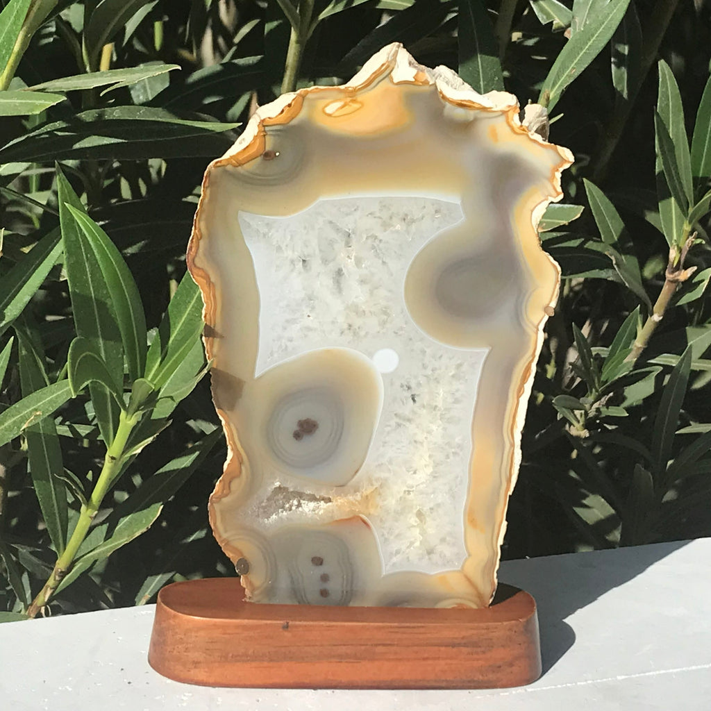 Glowing Brazilian Agate Slice