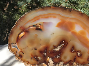 Fiery Detailed Agate Slice