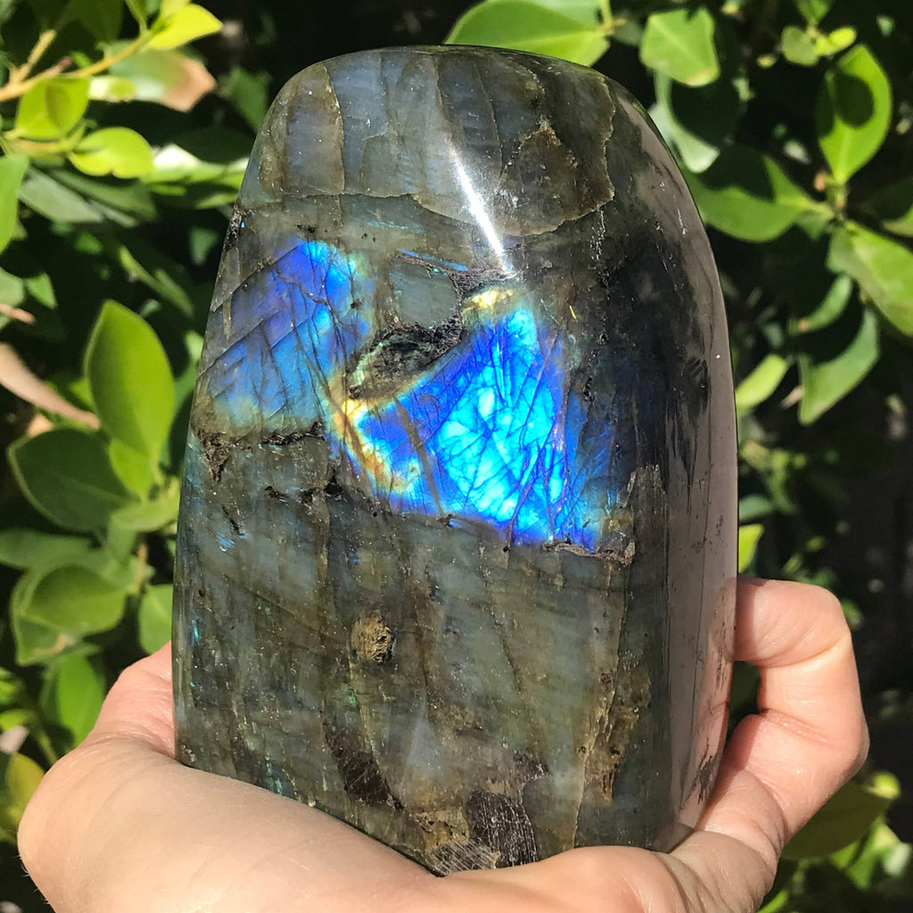 Rainbowed Labradorite Freeform