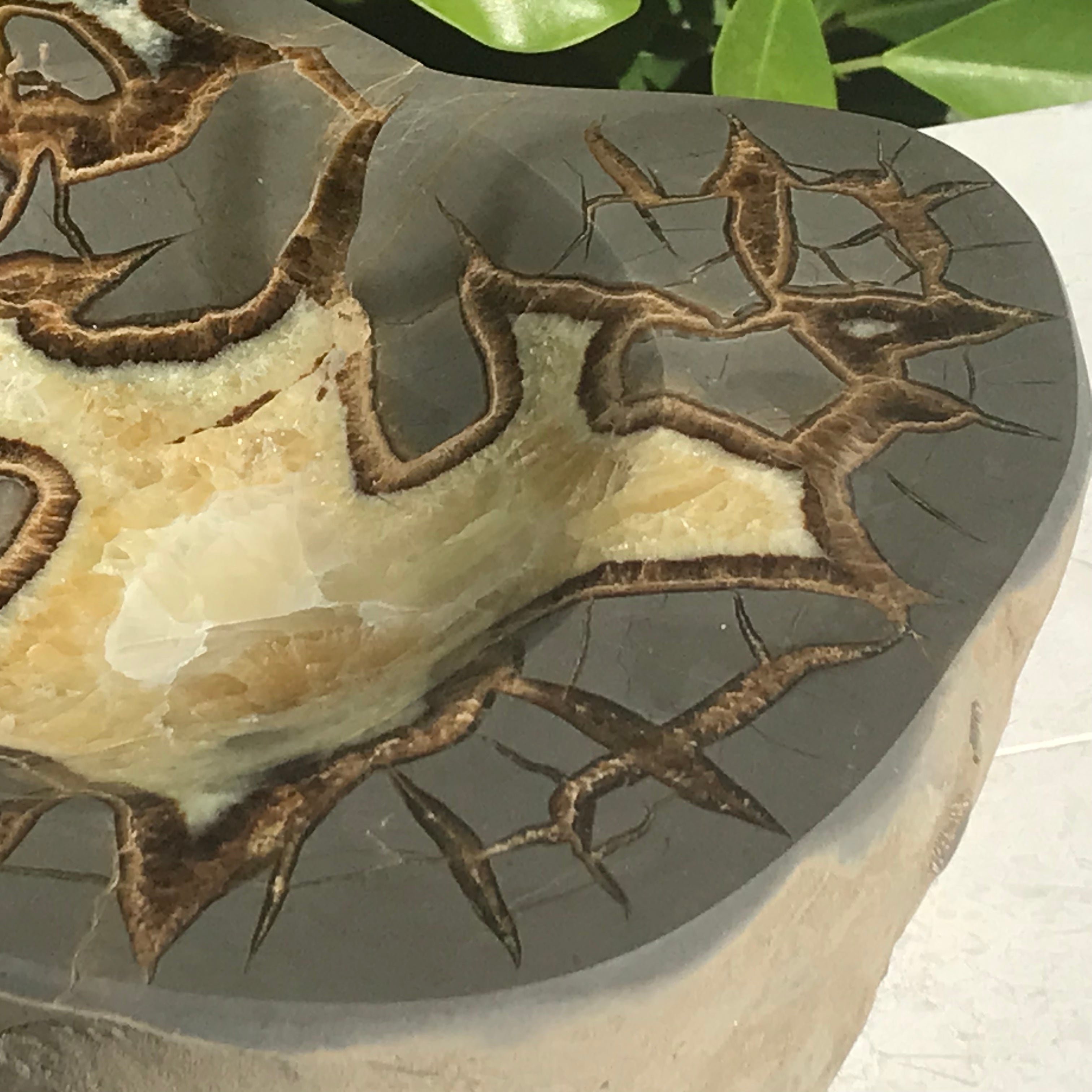 Patterned Septarian Bowl