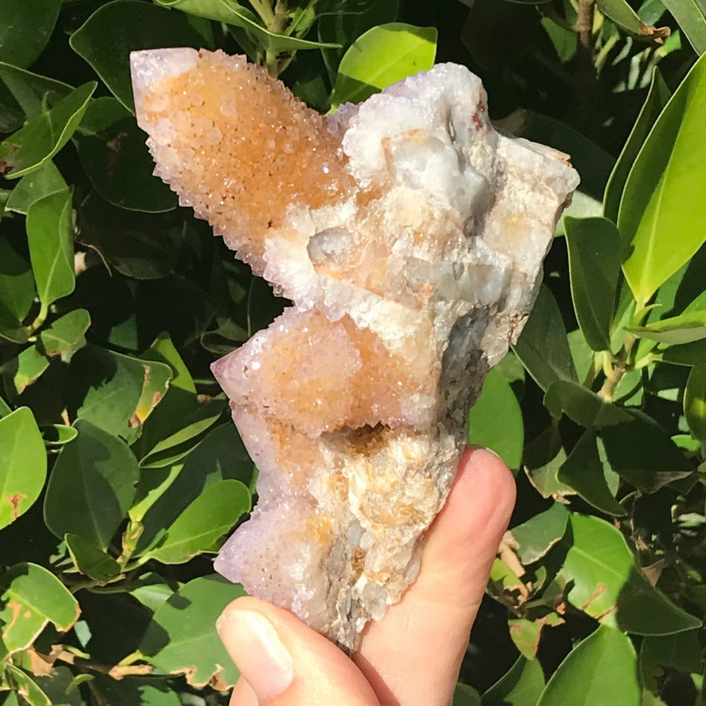 Towers of Crystals Cactus Quartz Cluster