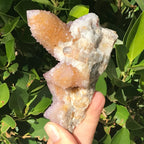 Towers of Crystals Cactus Quartz Cluster