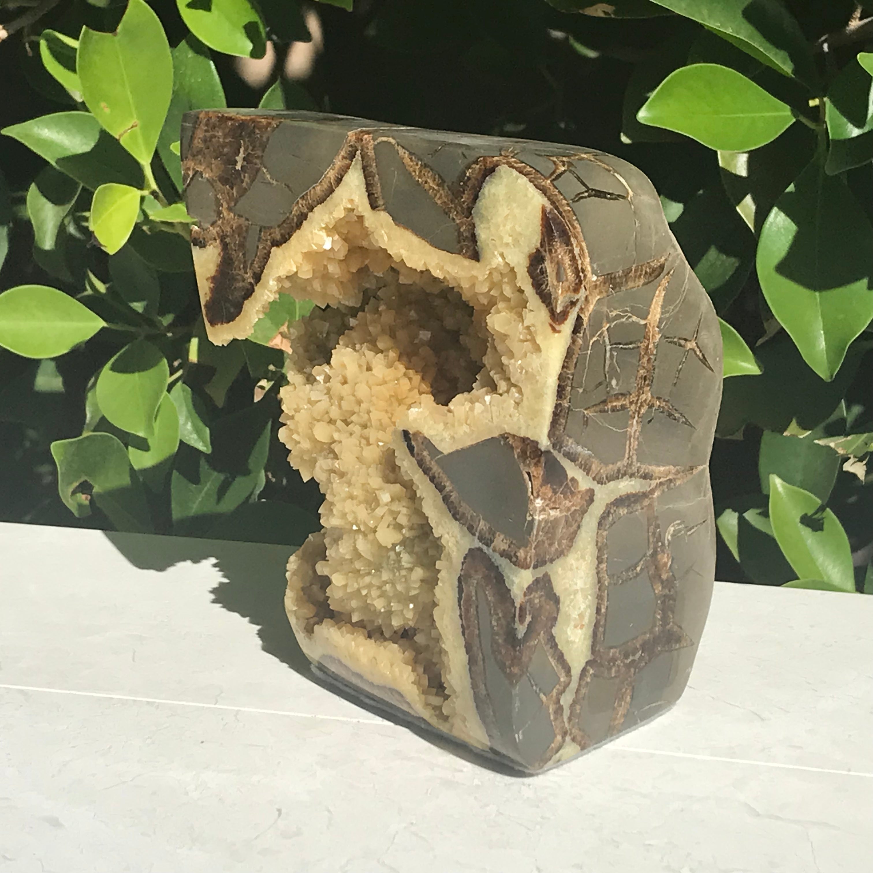 Polished Septarian Geode
