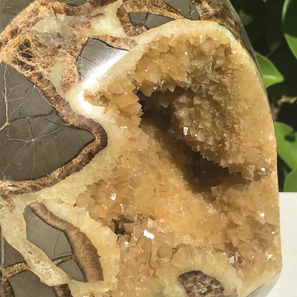 Crystal Filled Septarian Geode