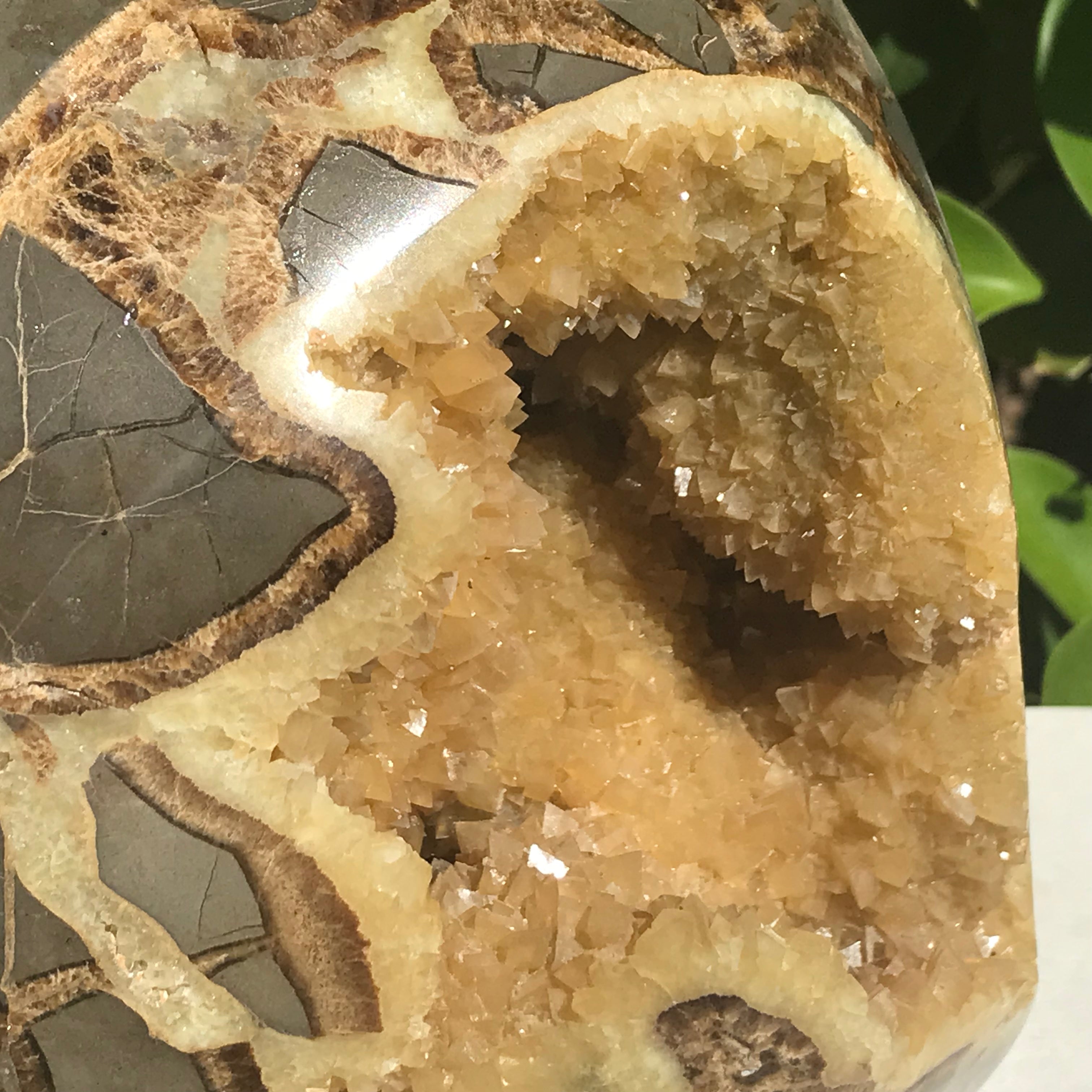 Crystal Filled Septarian Geode