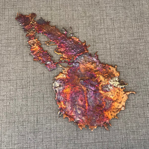 Exclusive Rainbow Copper Splash Wall Art