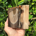 Super Striated Petrified Wood Freeform