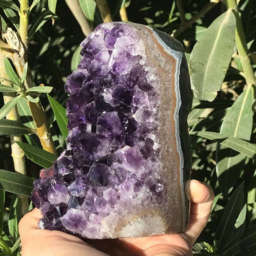 Amethyst Faced Freeform