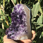 Amethyst Faced Freeform