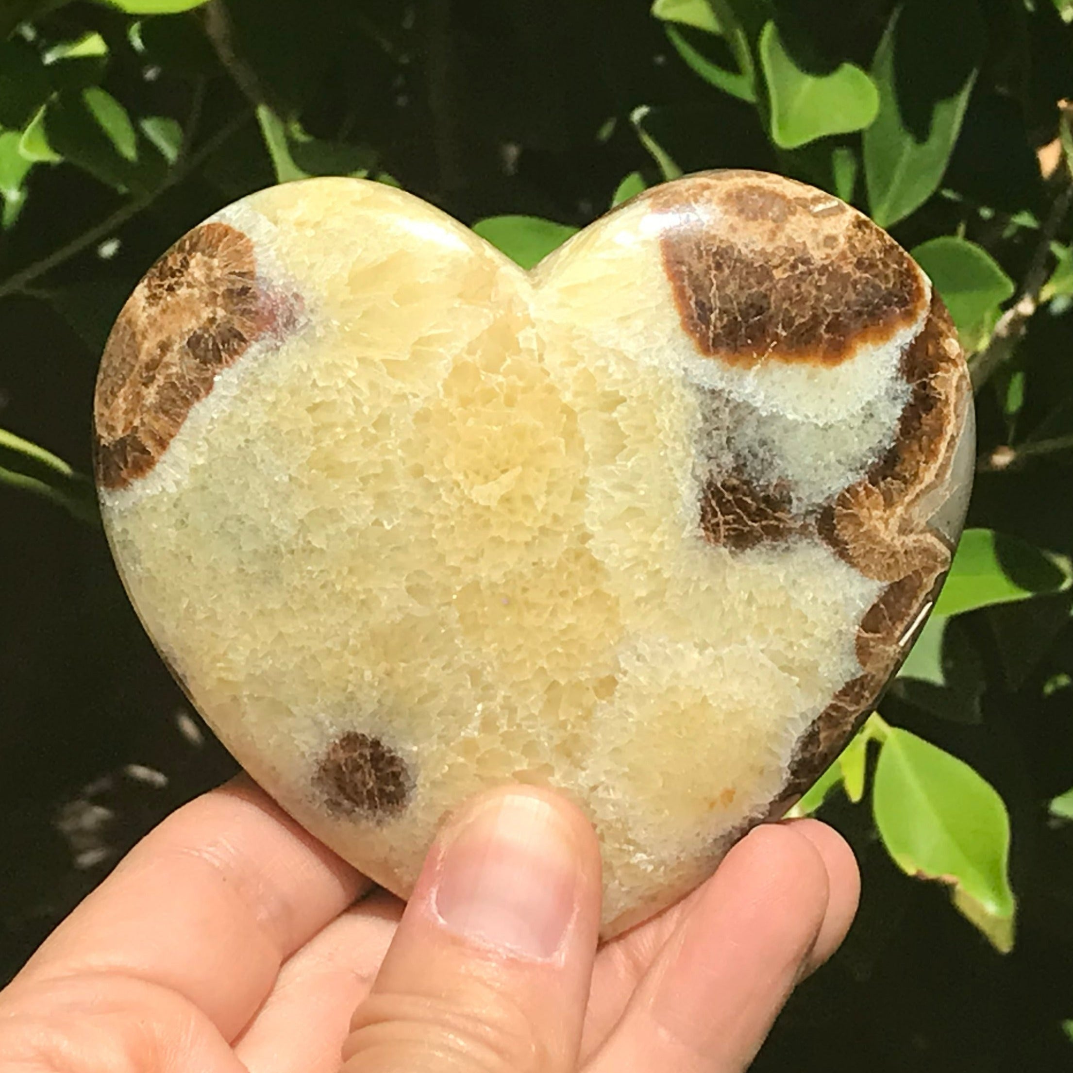 Utahn Septarian Heart