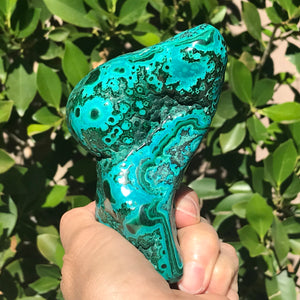 Hues of Turquoise and Green Malachite/Chrysocolla Nodule